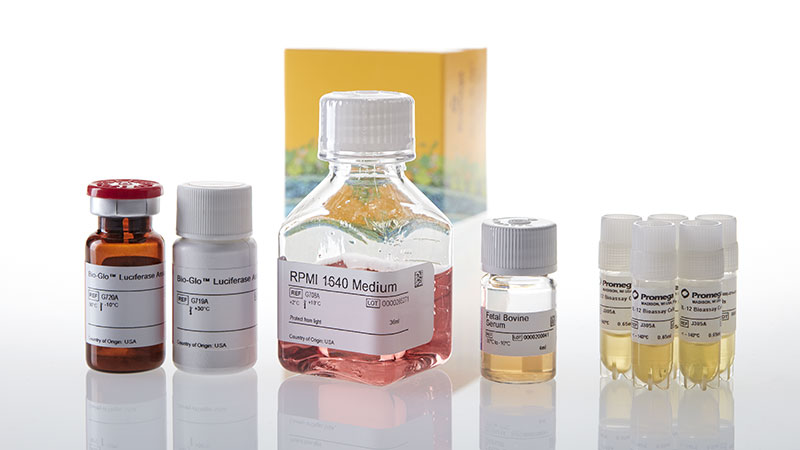 JA2605_IL-12-Bioassay-5X_3