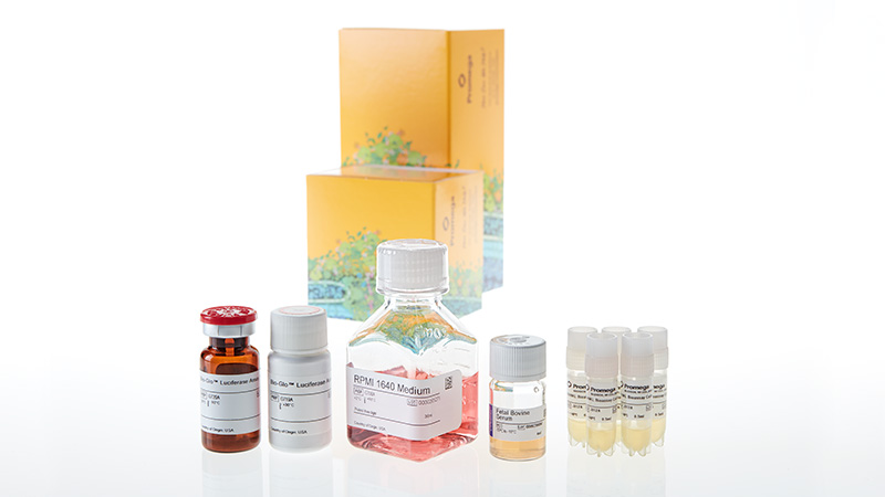 JA2705_RANKL-Bioassay-5X_3