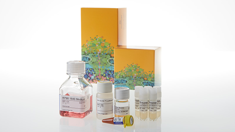 JA6805_ICOS-Bioassay--Core-Kit-5X_3