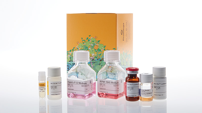 たにひろ様 THP 1ml ADCP Reporter Bioassay (THP-1)
