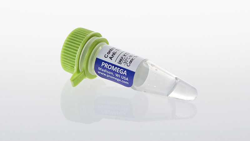 K1210_-Control-Ab--Anti-TIM-3_3