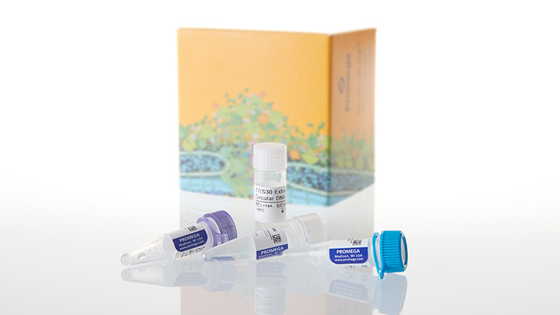 L1115_S30 T7 High-Yield Protein Expression System-8rxn_3