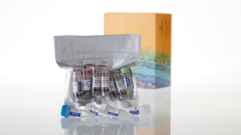 L1170_TNT-T7-Quick-Transcription-Translation