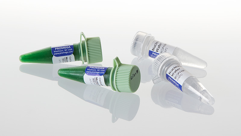 M5122_GoTaq--Hot-Start-Green-Master-Mix-100rxn_3