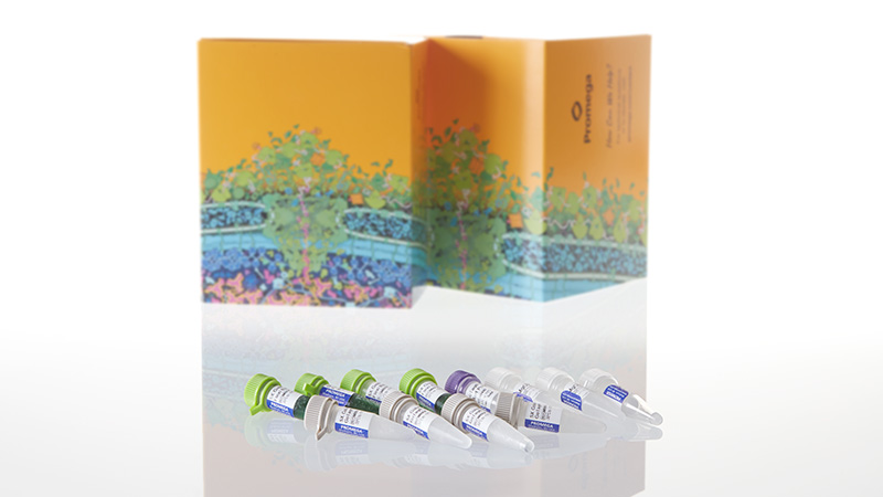 M7408_GoTaq--G2-Hot-Start-Polymerase--10-000u_3