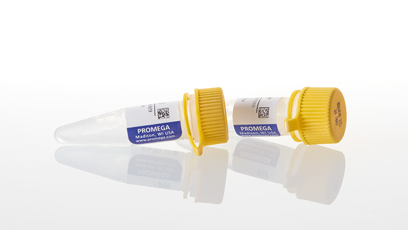 M9004_AMV-Reverse-Transcriptase--HC---600u_3
