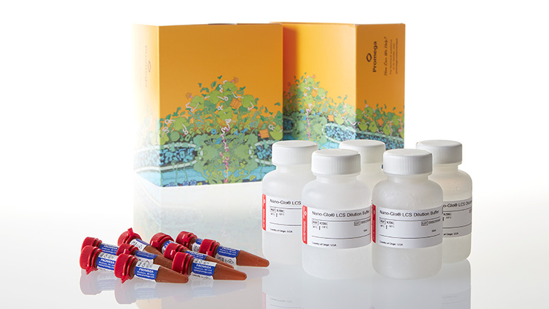 N2013_Nano-Glo--Live-Cell-Assay-System--10000A_3