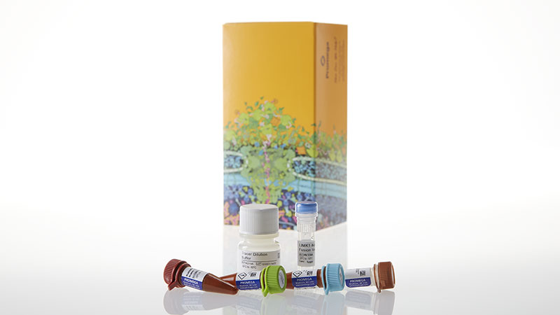 N2621_NanoBRETTM-TE-Intracellular-Kinase-Assay--K-8--1-000-assays_3