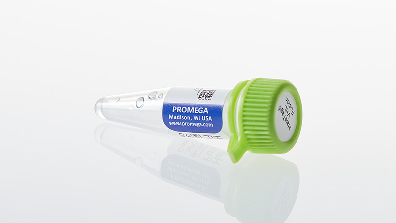 N2731_HaloTag--VHL-Fusion-Vector_3