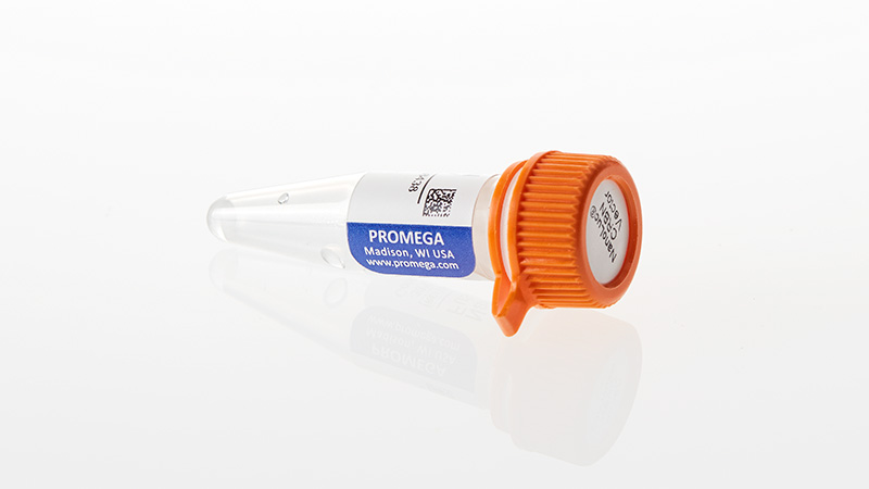 N274A_NanoLuc-R--CRBN-Fusion-Vector--1ug-ul_3