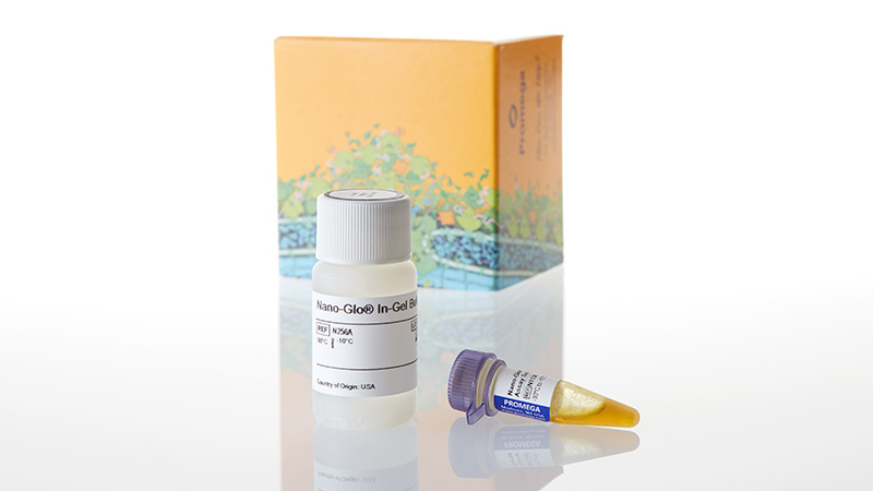 N3020_Nano-Glo--In-Gel-Detection-System--100ml_3