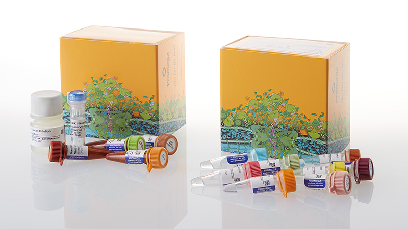 np5050-nanobret-te-cdk-selectivity-system-a