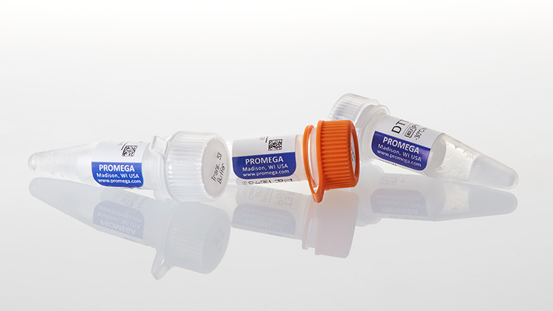 P2083_T3-RNA-Polymerase--1-000u_3