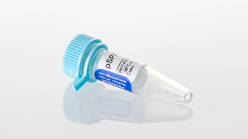 P2221_pSP73-Vector--20ug_3