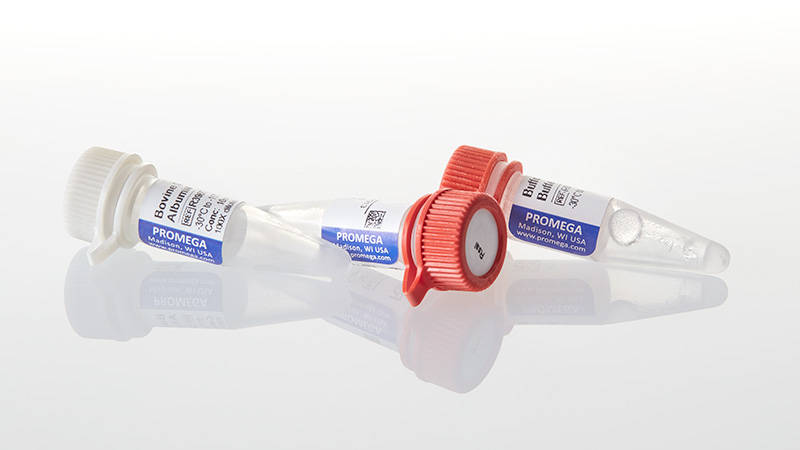 R6371_RsaI--1-000u_3