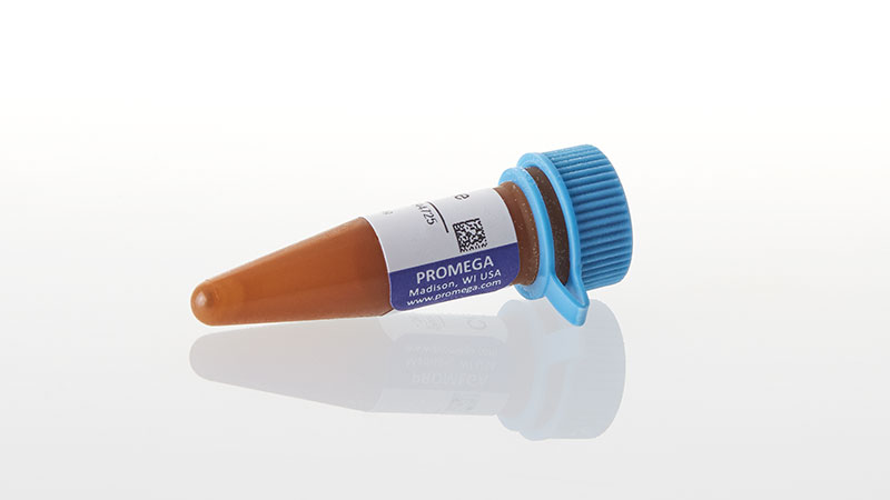 S2001_Coelenterazine--250ug_3