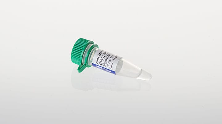 S3721-anti-mouse-igg-hl-ap-conjugate