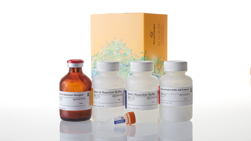 V1402_MAO-Glo--Assay--1000-Assays_3