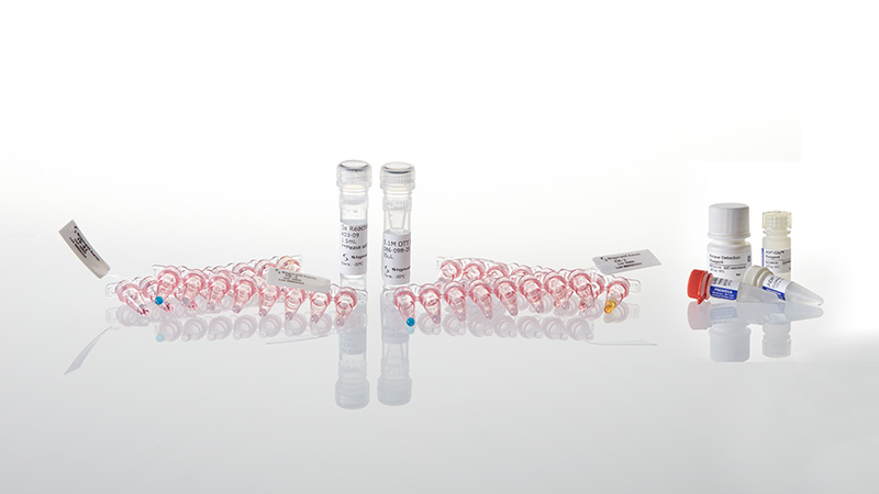 V6851_Kinase-Selectivity-Profiling-Systems