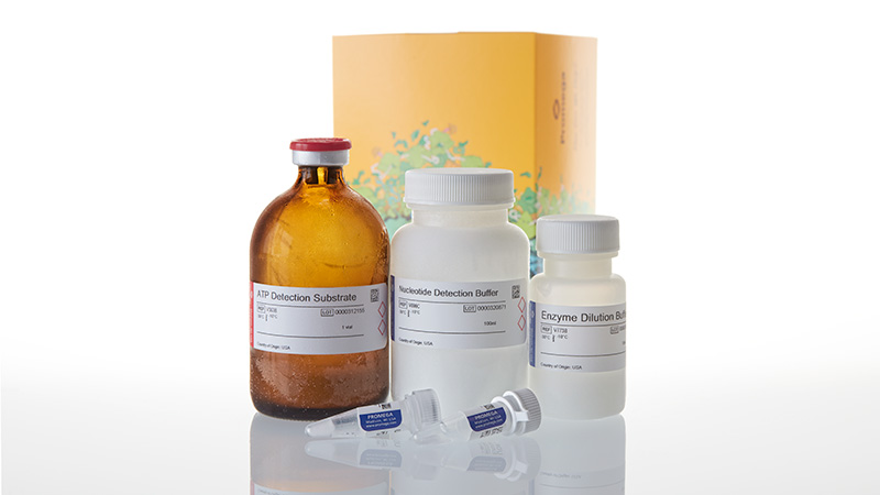 V6963_UDP-Glo-Glycosyltransferase-Assay