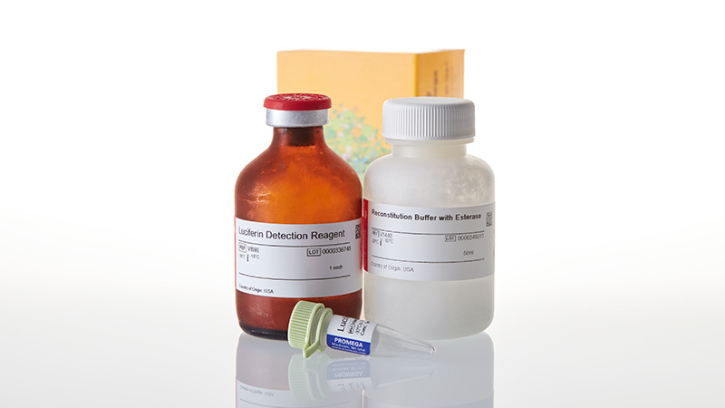 V9002_P450-Glo--CYP3A4-Assay-with-Luciferin_3