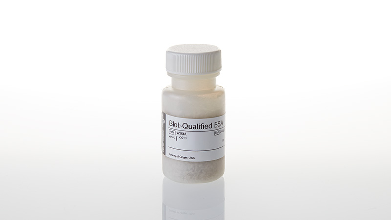 W3841-blot-qualified-bsa-10g