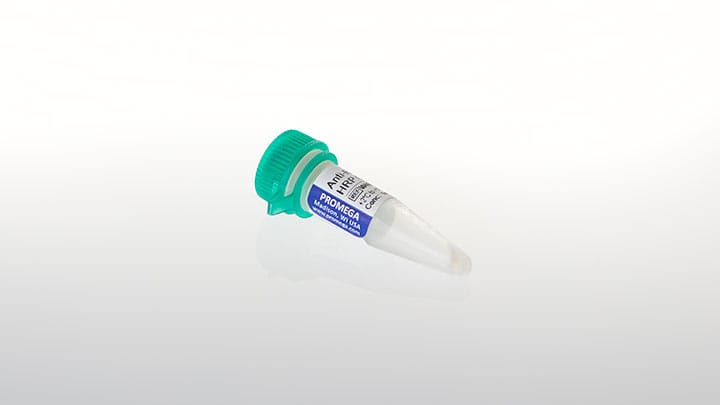 W4011-anti-rabbit-igg-hl-hrp-conjugate
