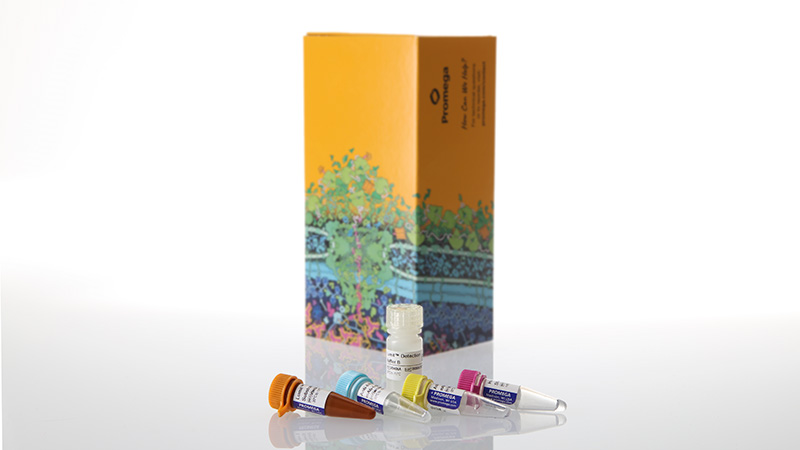 w6050-lumit-tnf-a-human-immunoassay-100-assays