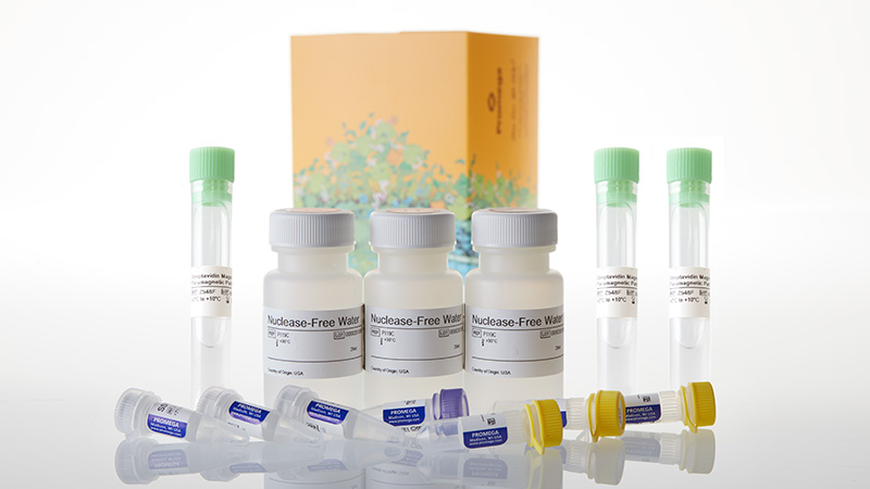 Z5210_PolyATtract--mRNA-Isolation-System-I_3