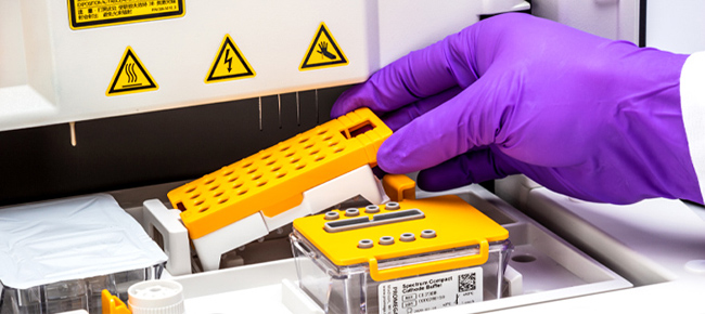 ProDye includes the dye-terminator sequencing reaction components in a premixed format