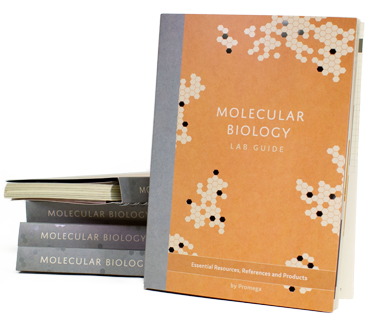 Molecular Lab Guide