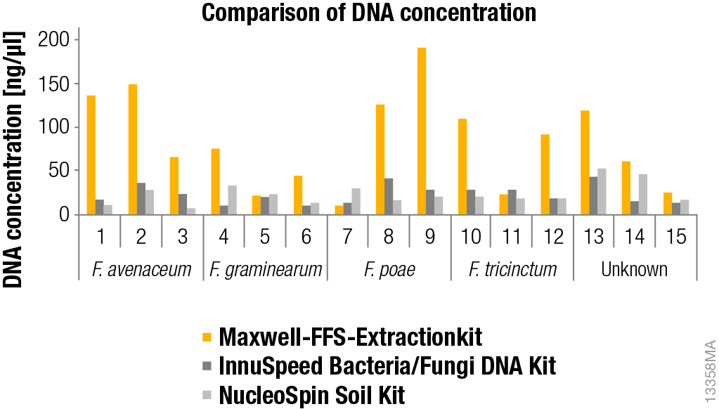 DNA concentration after extraction from mycelia from Fusaria fungi with different methods