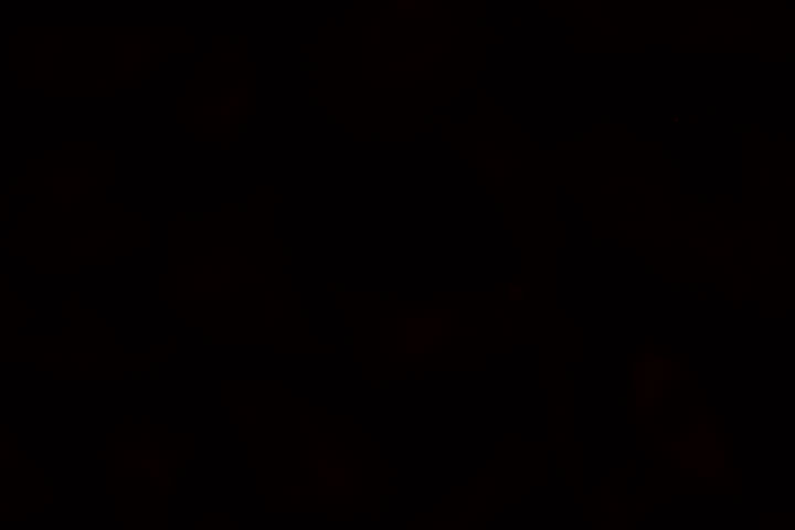 16618ta-screen-04
