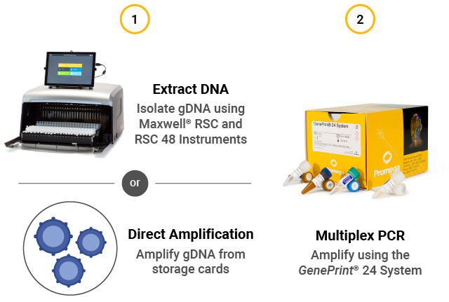str assay workflow part 1