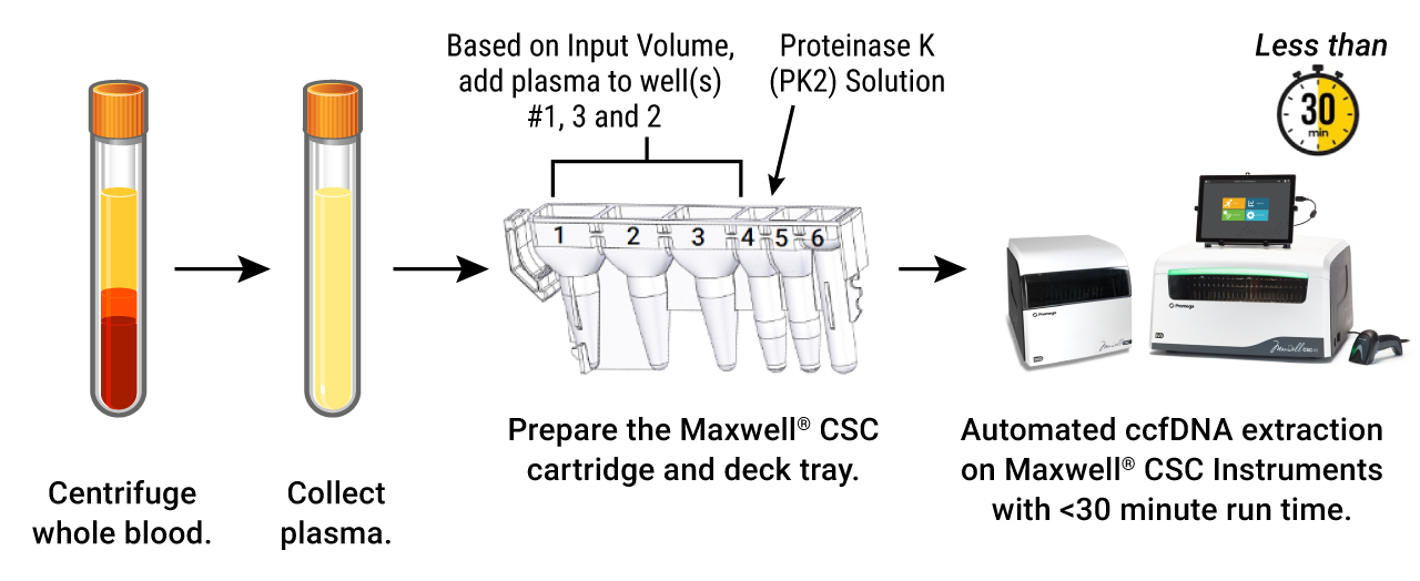 Drawing of Maxwell® CSC Rapid ccfDNA Kit protocol.