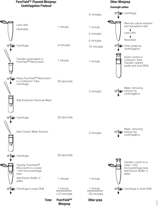 Pureyield plasmid prep protocol comparison