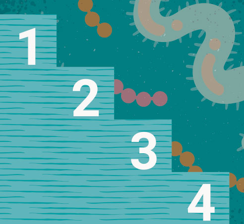 steps-in-cell-line-authentication