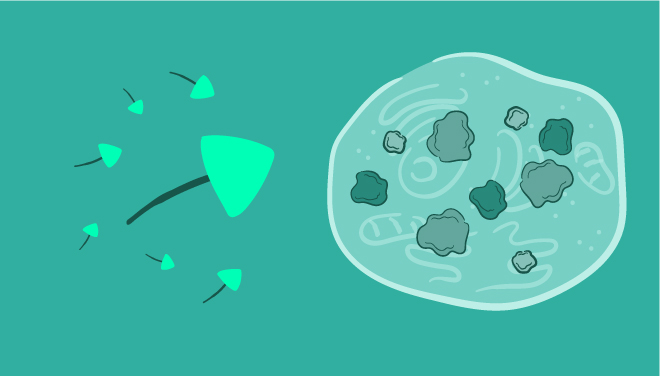 proteindetsubpage-tagging-two-web