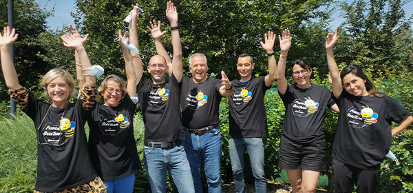 francebeesteam-600x280